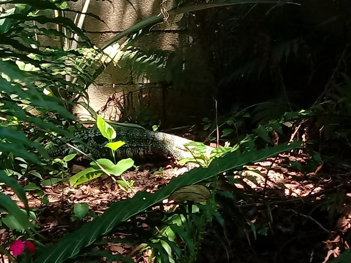 Casa Alquiler En Bombas Bombinhas Villa Ngoại thất bức ảnh